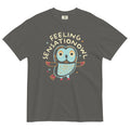 Feeling Sensationowl Men's Relaxed Fit Tee product image 1