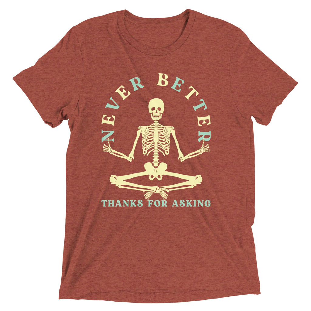 Never Better Thanks For Asking Men's Tri-Blend Tee product image 5