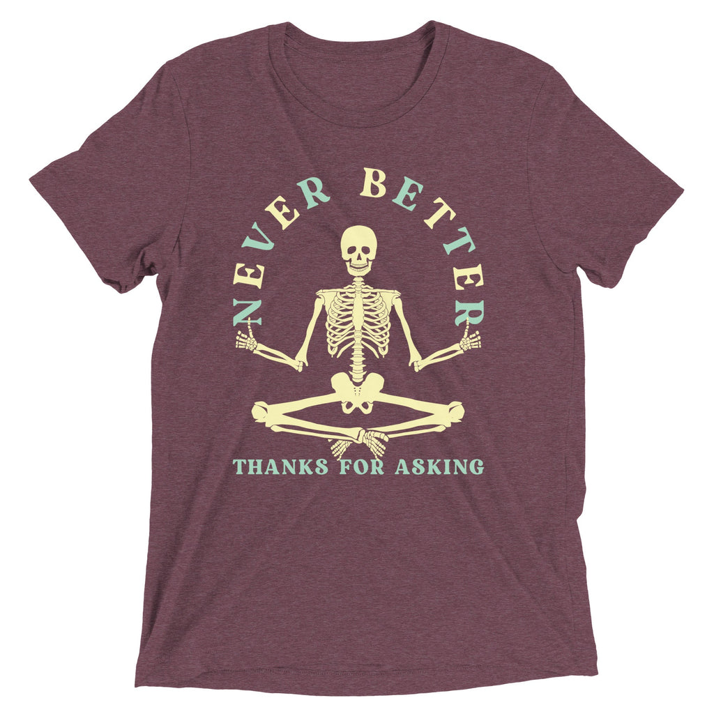 Never Better Thanks For Asking Men's Tri-Blend Tee product image 4