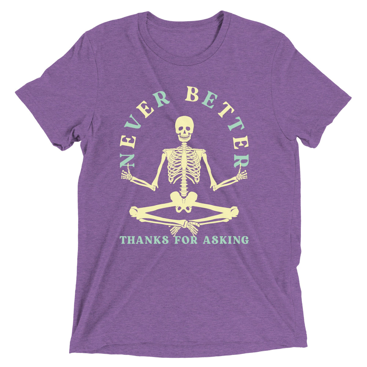 Never Better Thanks For Asking Men's Tri-Blend Tee product image 6