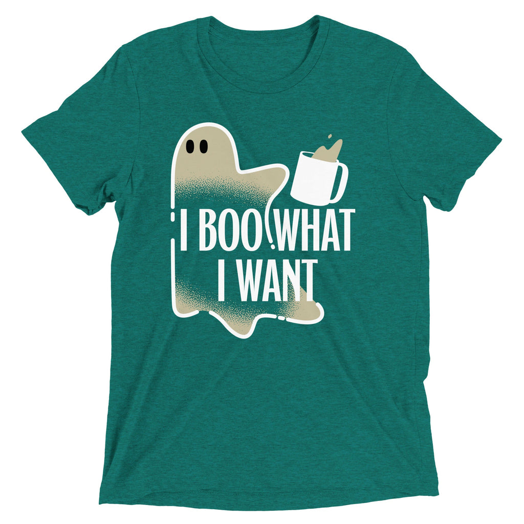 I Boo What I Want Men's Tri-Blend Tee product image 2