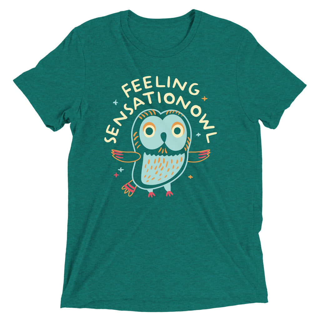 Feeling Sensationowl Men's Tri-Blend Tee product image 4