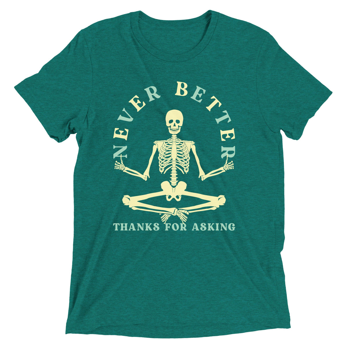 Never Better Thanks For Asking Men's Tri-Blend Tee product image 3