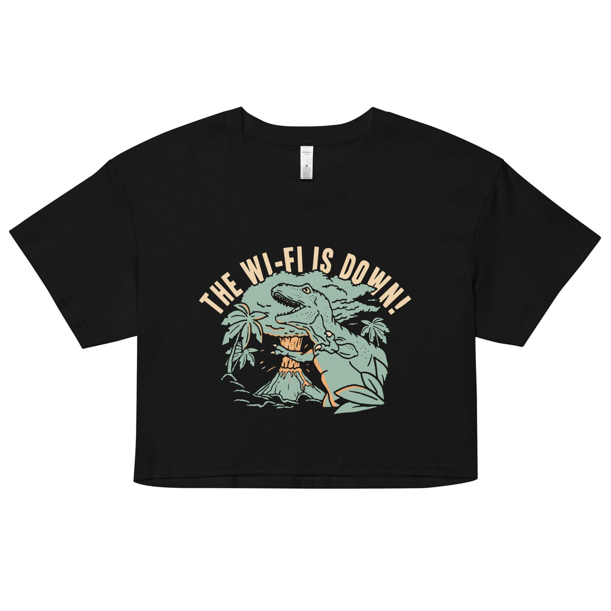 The Wi-Fi Is Down! Women's Crop Tee product image 1