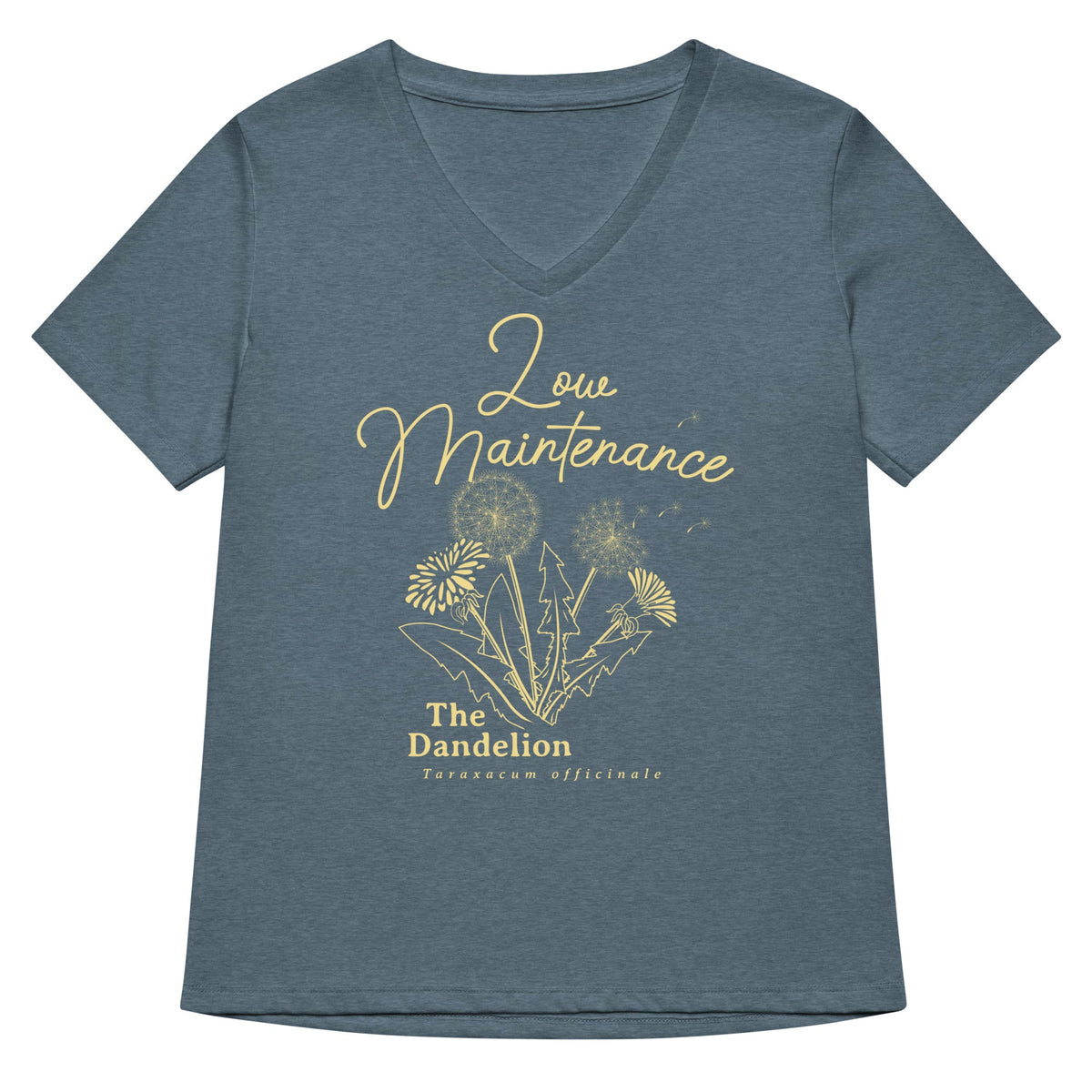 Low Maintenance Women's V-Neck Tee product image 4